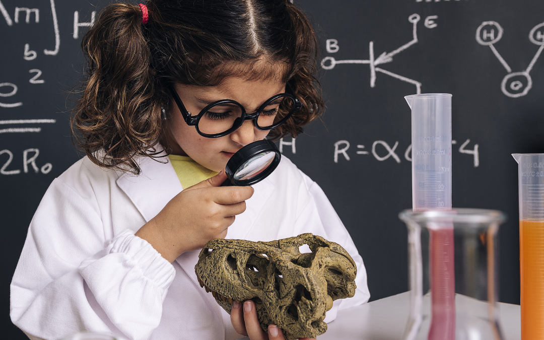 Why is it Important to Teach About Paleontology?